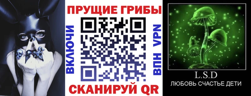 Галлюциногенные грибы ЛСД  Купить где  Верхняя Пышма 
